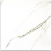 Matte Adoration 24X24 | Glens Falls Tile & Supplies