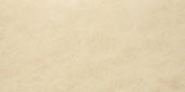 Matte Affection 16X32 | Glens Falls Tile & Supplies