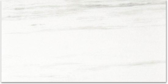 Matte Devotion 12X24 | Glens Falls Tile & Supplies