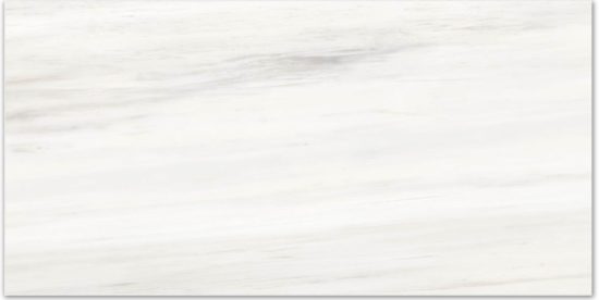 Matte Devotion 16X32 | Glens Falls Tile & Supplies