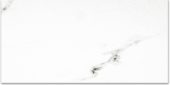 Matte Infatuation 16X32 | Glens Falls Tile & Supplies