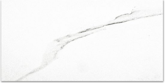 Matte Infatuation 16X32 | Glens Falls Tile & Supplies