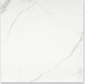 Matte Love 24X24 | Glens Falls Tile & Supplies