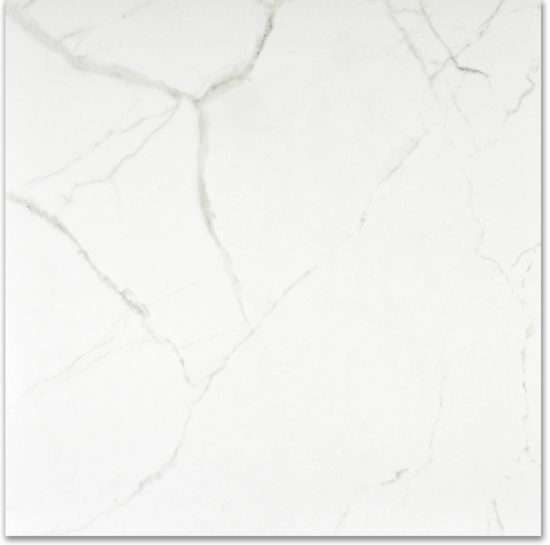 Matte Love 24X24 | Glens Falls Tile & Supplies