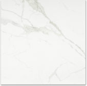 Matte Love 24X24 | Glens Falls Tile & Supplies