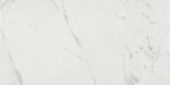 Milano Statuario Honed 12X24 | Glens Falls Tile & Supplies