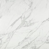 Milano Statuario Polished 24X24 | Glens Falls Tile & Supplies