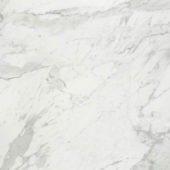 Milano Statuario Polished 32X32 | Glens Falls Tile & Supplies