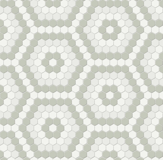 Morning Blend Matte Hexagon Pattern Mosaic | Glens Falls Tile & Supplies