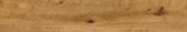 Oak Devonport | Glens Falls Tile & Supplies