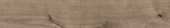 Oak Sevilla Taupe | Glens Falls Tile & Supplies
