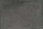 Palms Steel 16x24 | Glens Falls Tile & Supplies