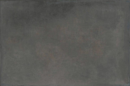 Palms Steel 16x24 | Glens Falls Tile & Supplies