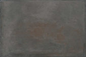 Palms Steel 16x24 | Glens Falls Tile & Supplies