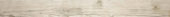 Paradise 3X33 Bullnose | Glens Falls Tile & Supplies