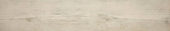 Paradise 5.5X33 | Glens Falls Tile & Supplies