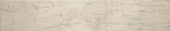 Paradise 5.5X33 | Glens Falls Tile & Supplies