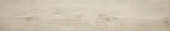 Paradise 5.5X33 | Glens Falls Tile & Supplies