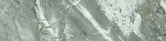 Parana 4X12 | Glens Falls Tile & Supplies
