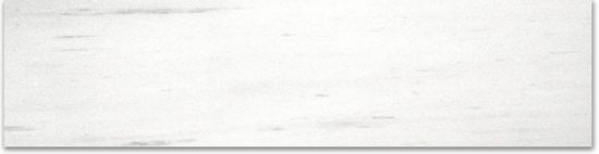 Polished 3X12 Devotion Bullnose | Glens Falls Tile & Supplies