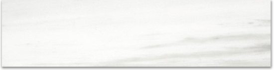 Polished 3X12 Devotion Bullnose | Glens Falls Tile & Supplies