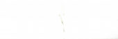 Polished Adoration 10.5X32 | Glens Falls Tile & Supplies