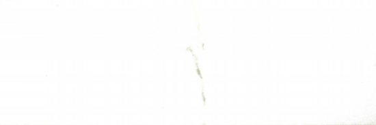 Polished Adoration 10.5X32 | Glens Falls Tile & Supplies
