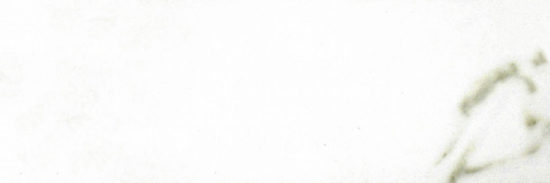 Polished Adoration 10.5X32 | Glens Falls Tile & Supplies