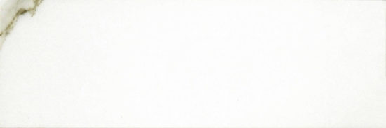 Polished Adoration 10.5X32 | Glens Falls Tile & Supplies