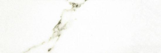Polished Adoration 10.5X32 | Glens Falls Tile & Supplies