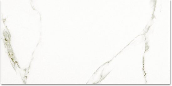 Polished Adoration 12X24 | Glens Falls Tile & Supplies