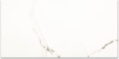 Polished Adoration 12X24 | Glens Falls Tile & Supplies