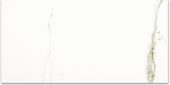Polished Adoration 16X32 | Glens Falls Tile & Supplies