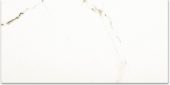 Polished Adoration 16X32 | Glens Falls Tile & Supplies