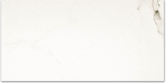 Polished Adoration 16X32 | Glens Falls Tile & Supplies