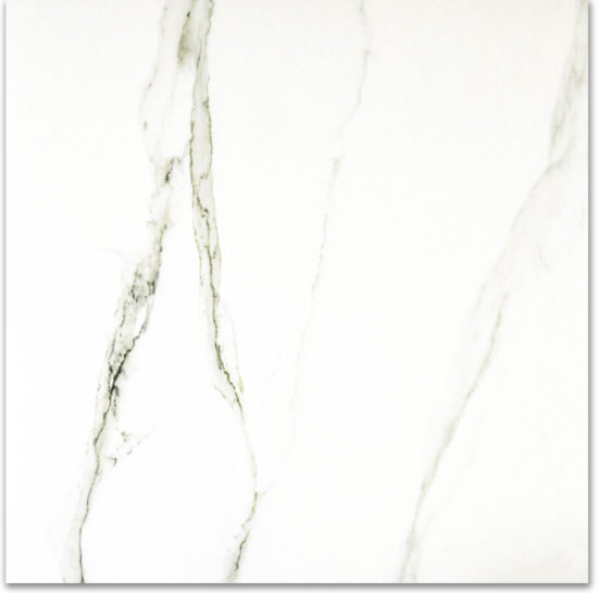 Polished Adoration 24X24 | Glens Falls Tile & Supplies
