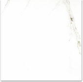 Polished Adoration 24X24 | Glens Falls Tile & Supplies
