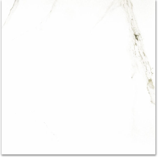 Polished Adoration 24X24 | Glens Falls Tile & Supplies