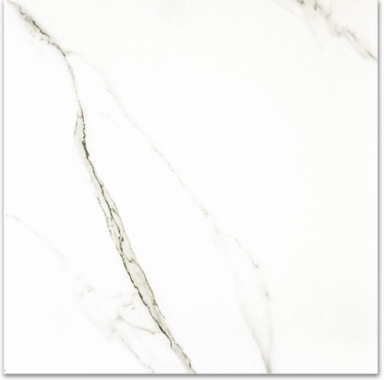 Polished Adoration 24X24 | Glens Falls Tile & Supplies