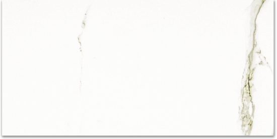 Polished Adoration 24X48 | Glens Falls Tile & Supplies