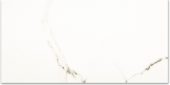 Polished Adoration 24X48 | Glens Falls Tile & Supplies