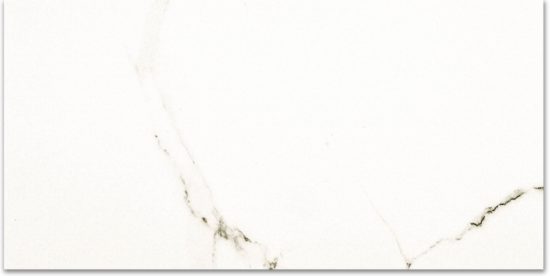 Polished Adoration 24X48 | Glens Falls Tile & Supplies