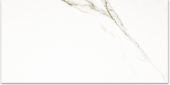 Polished Adoration 24X48 | Glens Falls Tile & Supplies