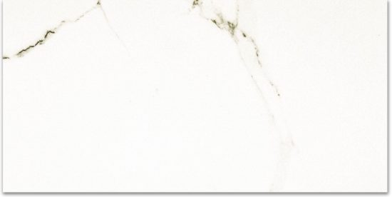 Polished Adoration 24X48 | Glens Falls Tile & Supplies