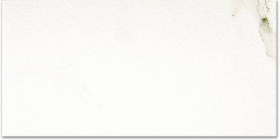 Polished Adoration 24X48 | Glens Falls Tile & Supplies