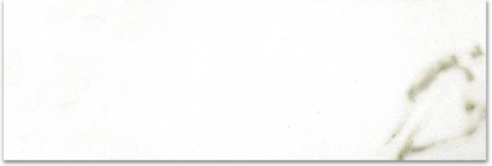 Polished Adoration 4X12 | Glens Falls Tile & Supplies