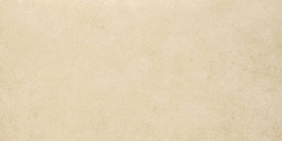 Polished Affection 16X32 | Glens Falls Tile & Supplies