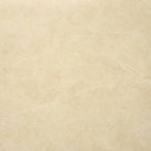 Polished Affection 24X24 | Glens Falls Tile & Supplies