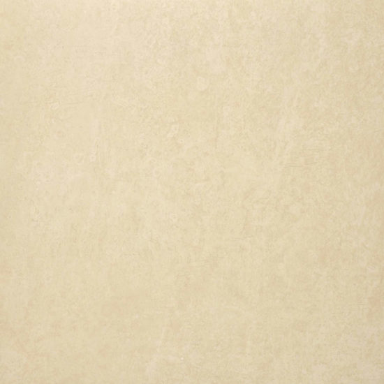 Polished Affection 24X24 | Glens Falls Tile & Supplies