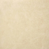 Polished Affection 24X24 | Glens Falls Tile & Supplies